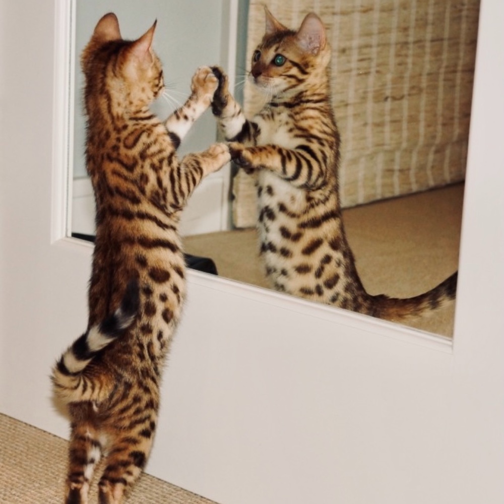 Who’s that?